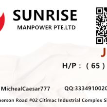 河北裕鼎达劳务派遣公司 专业劳务服务助力企业高效发展